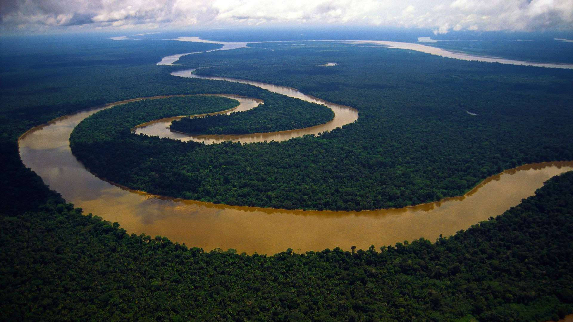 Imágenes De Amazonas