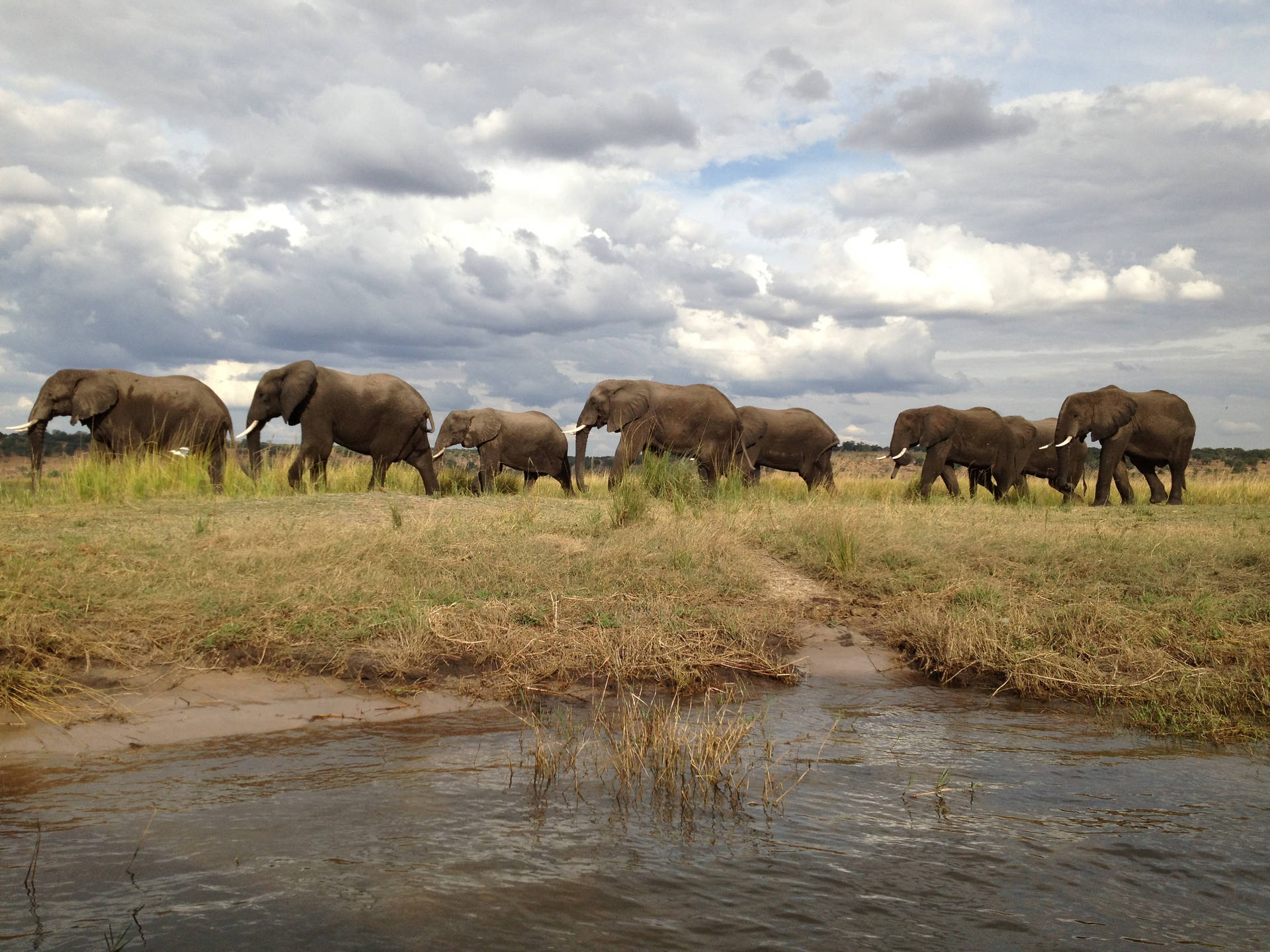 Imágenes De Botswana