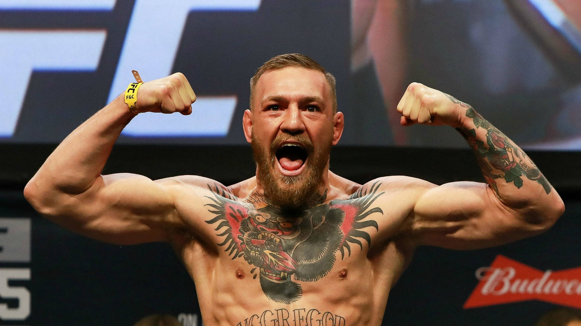 Imágenes De Conor McGregor