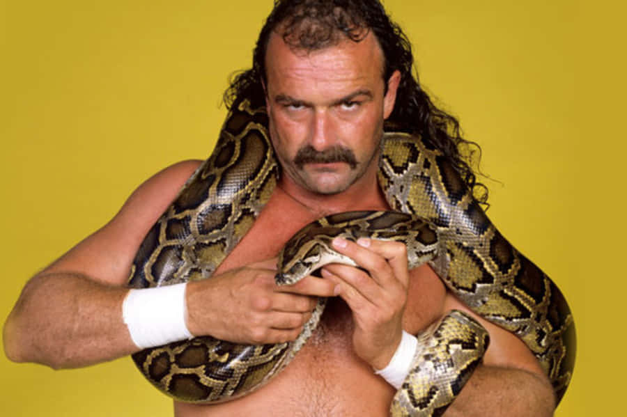 Jake Roberts Sfondo