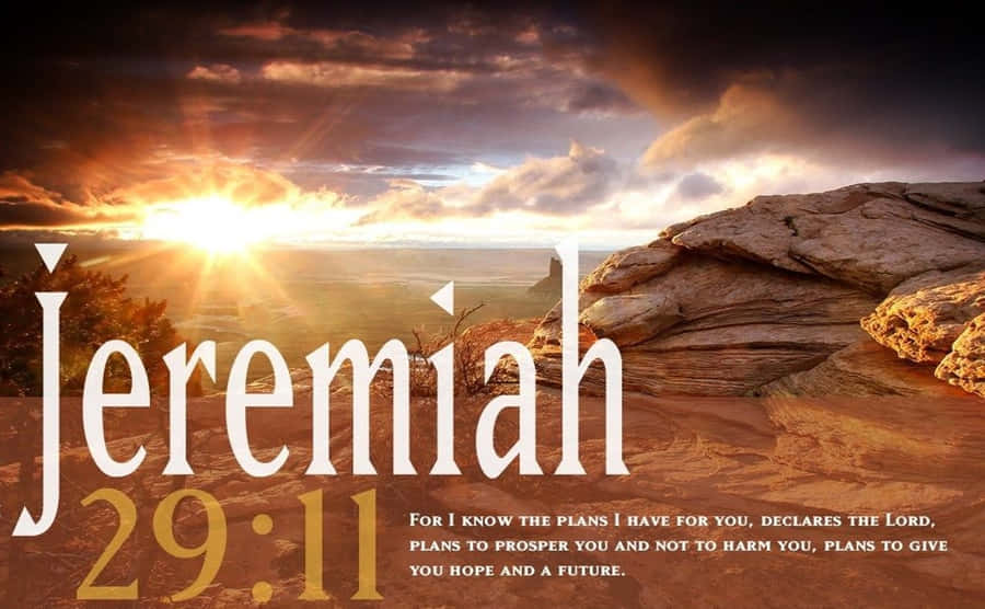 Jeremiah 2911 Wallpaper