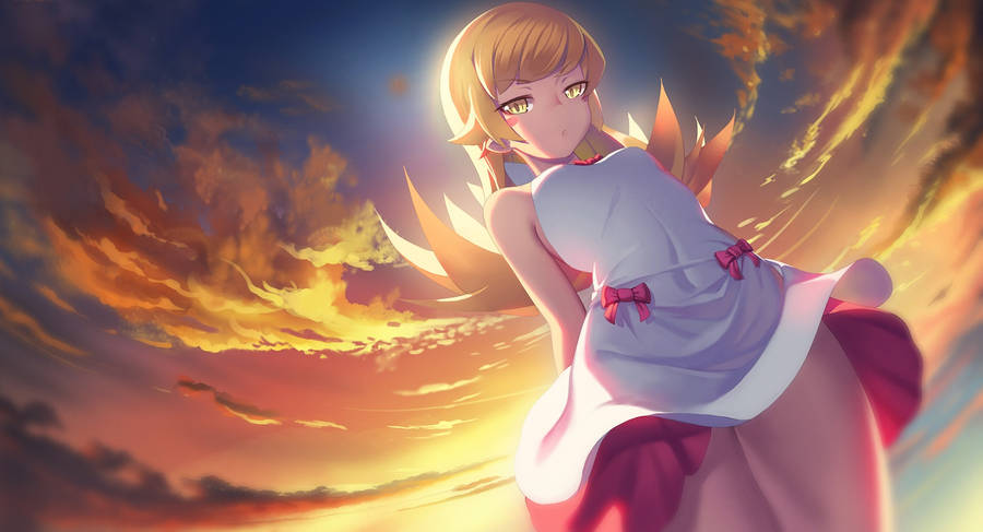 Monogatari Bilder