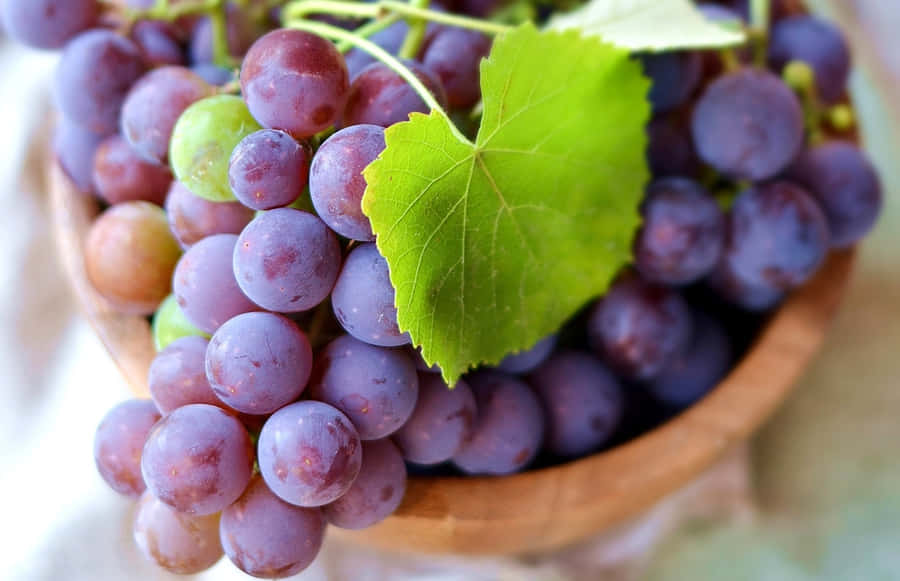 Purple Grapes Wallpaper