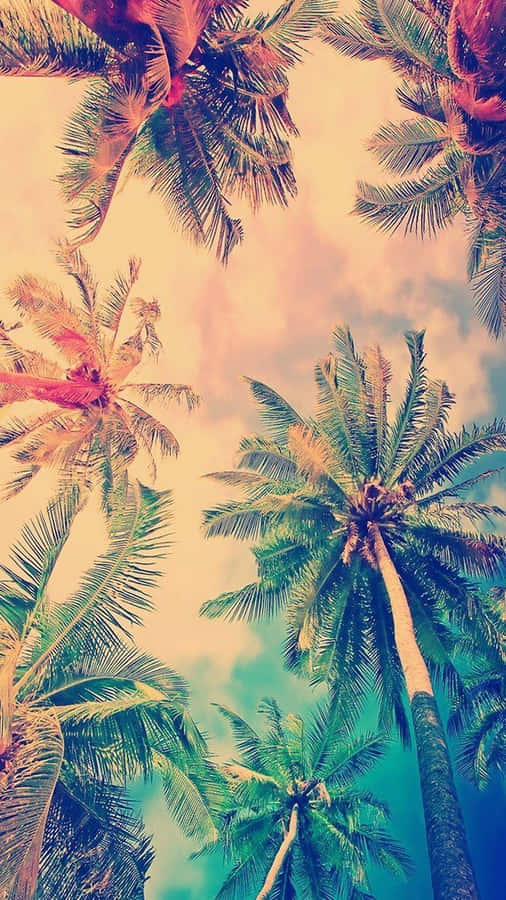 Retro Miami Wallpaper