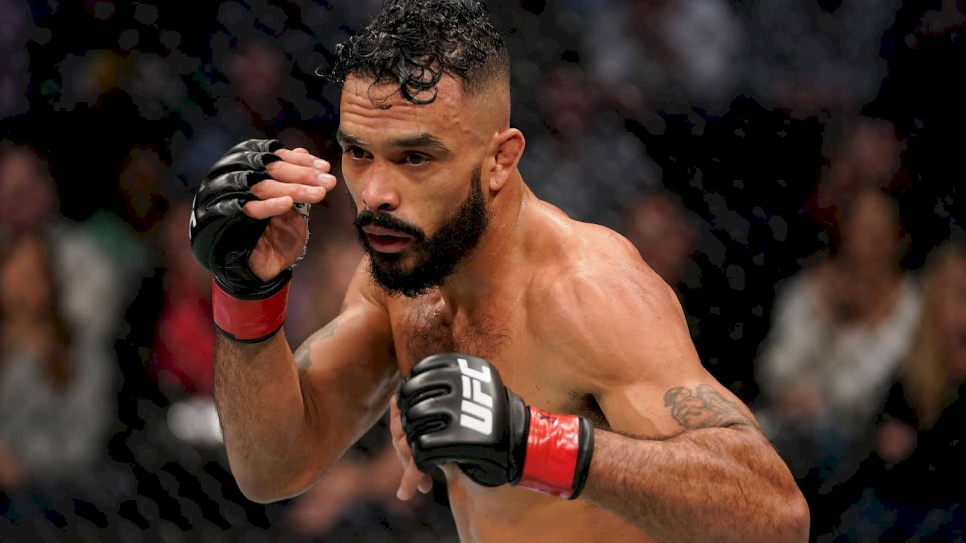 Rob Font Wallpaper