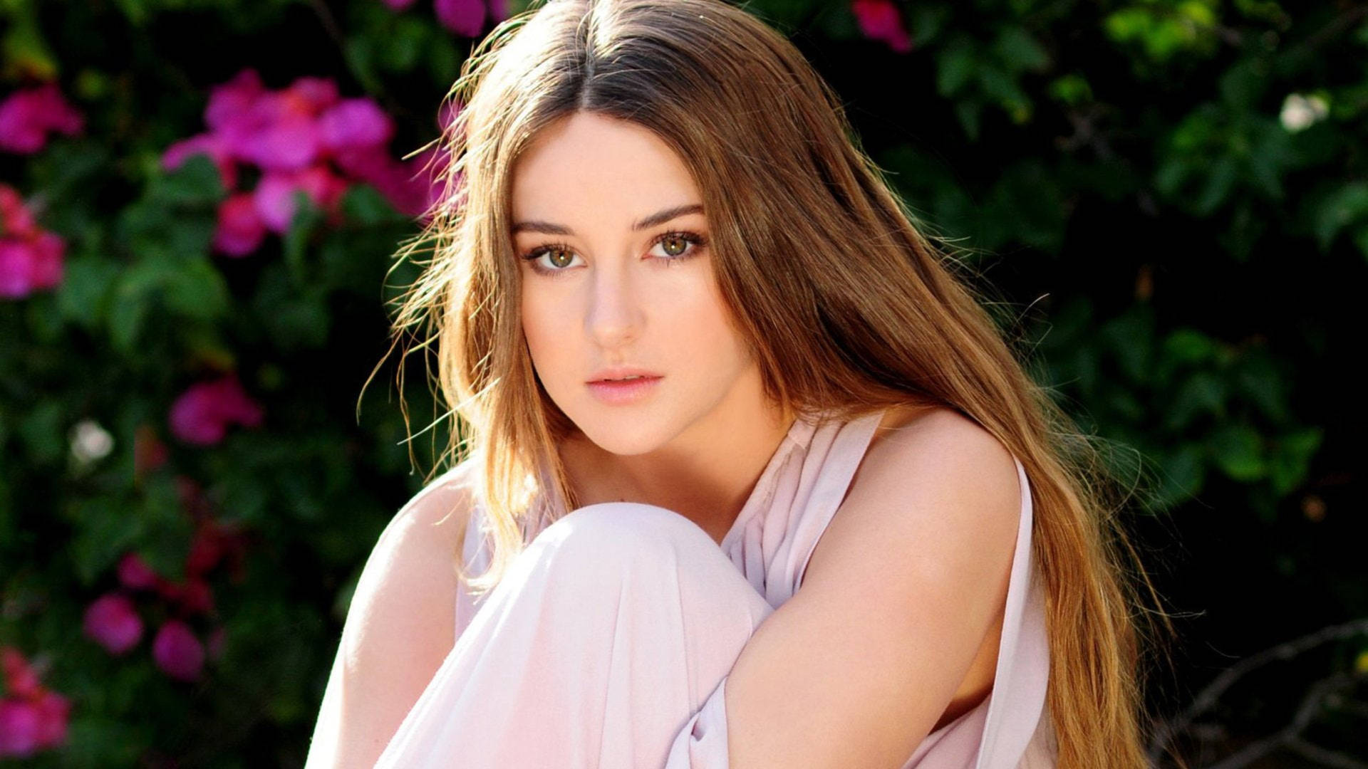 Shailene Woodley Fondo de pantalla