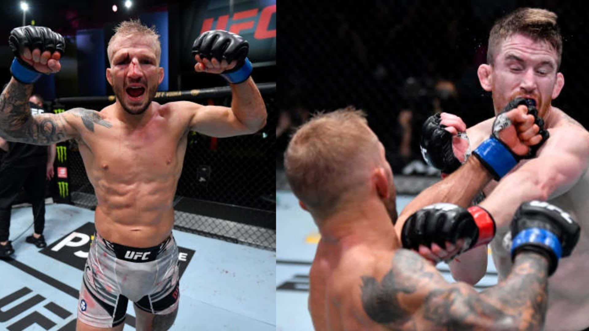 Tj Dillashaw Wallpaper