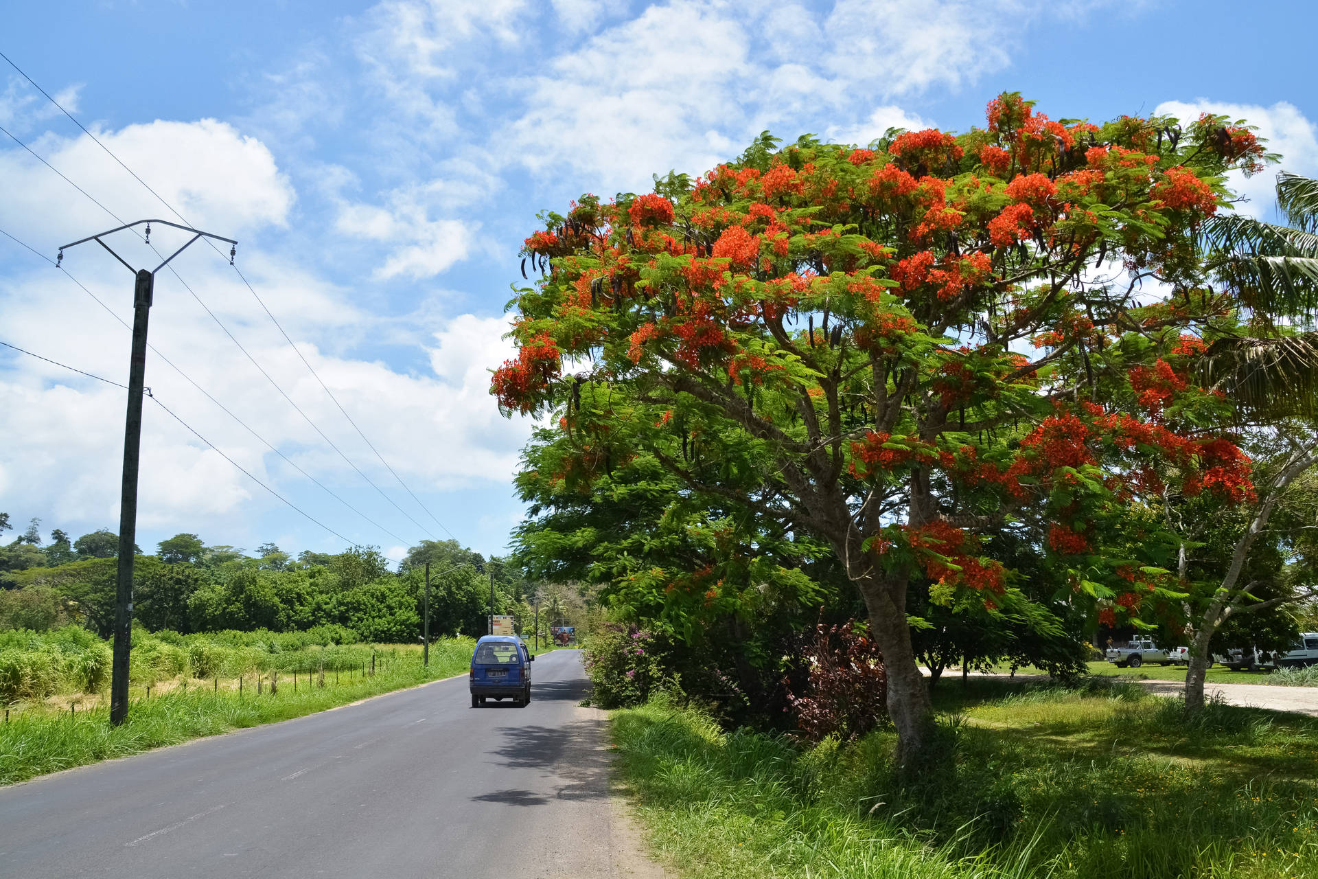 Vanuatu Fondo de pantalla