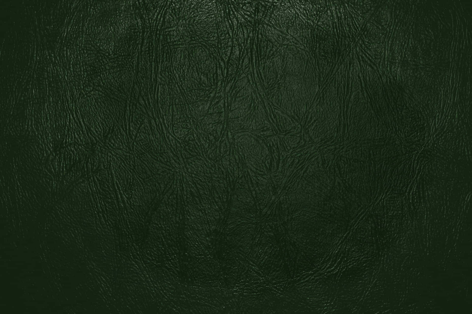 Verde Bosque Fondo de pantalla