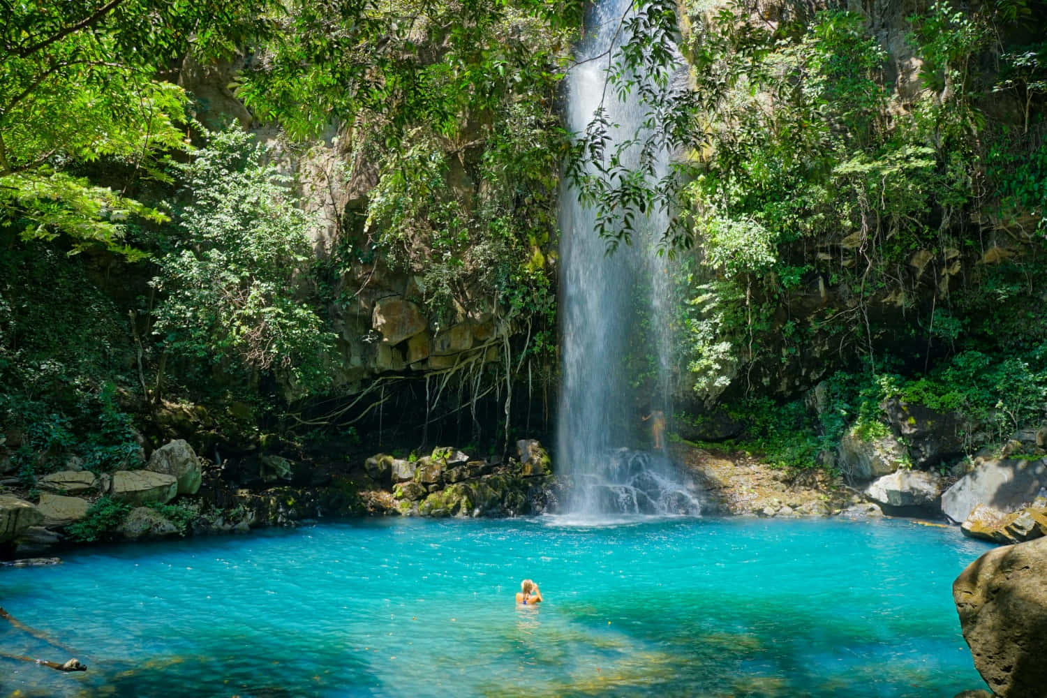 Enstrandutsikt Från Exotiska Costa Rica