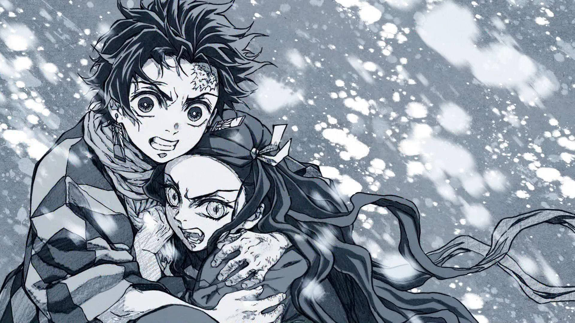 Demonslayer Tanjiro Med Nezuko. Wallpaper