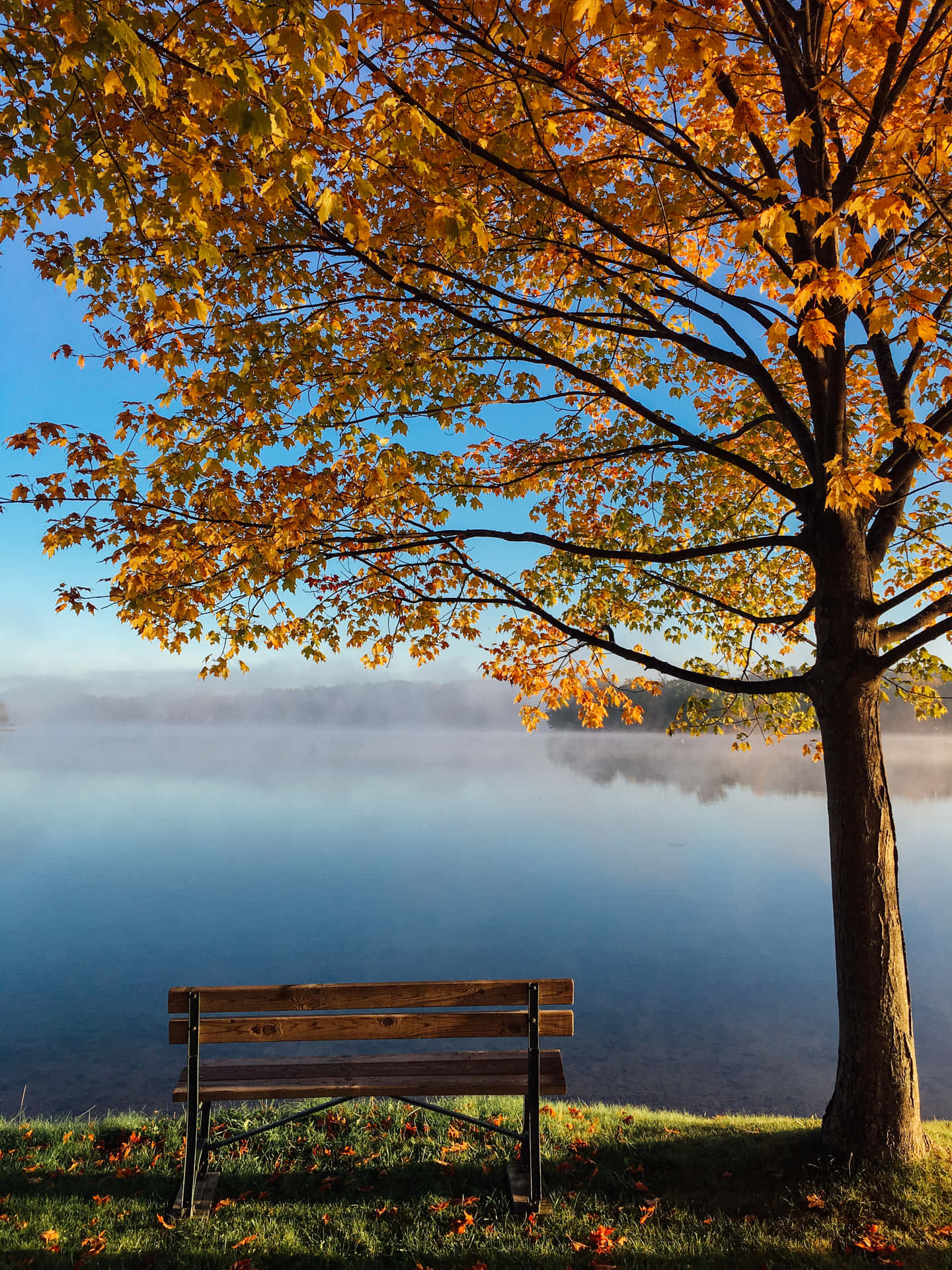 An idyllic autumn landscape with a bridge Wallpaper