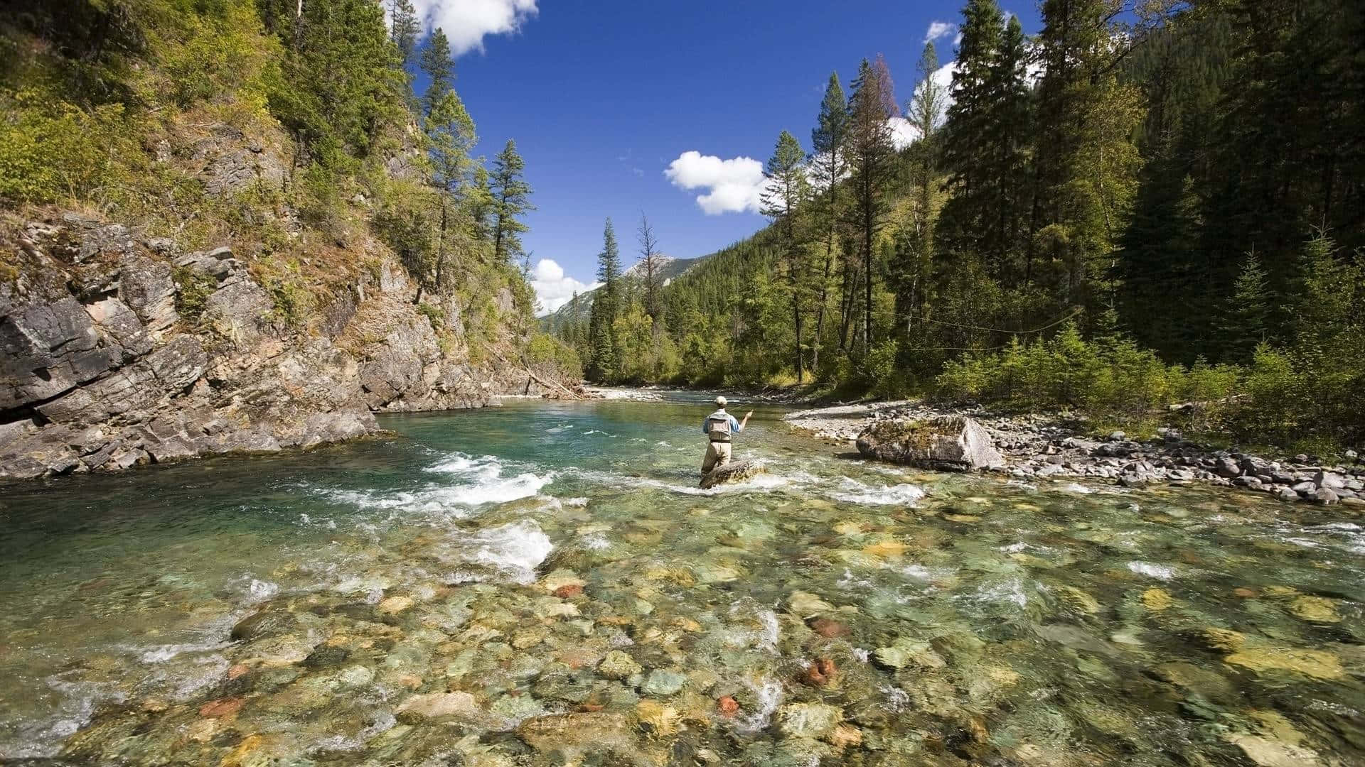 Experienciade Pesca Tranquila En El Lago