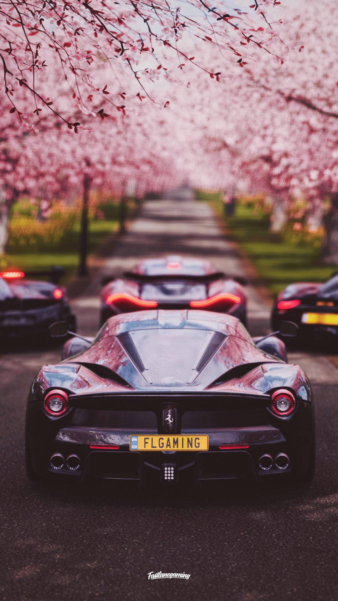 Forza Cherry Blossoms iPhone Wallpaper