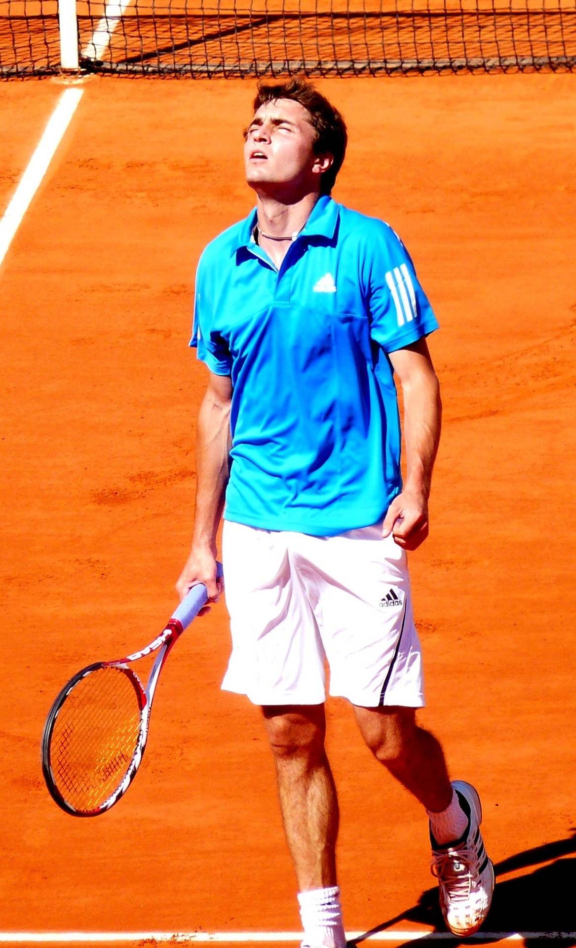 Gillessimon Blickt Nach Oben Bei Der Niederlage. Wallpaper