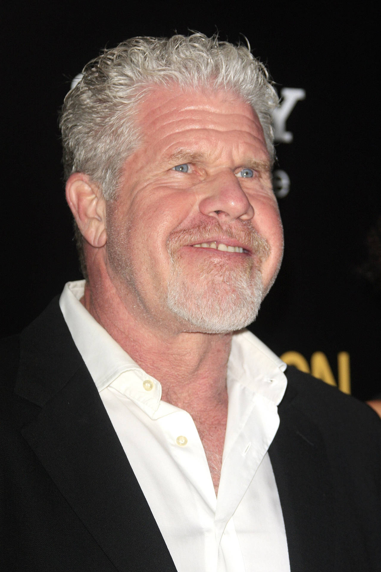 Actorde Hollywood Ron Perlman. Fondo de pantalla