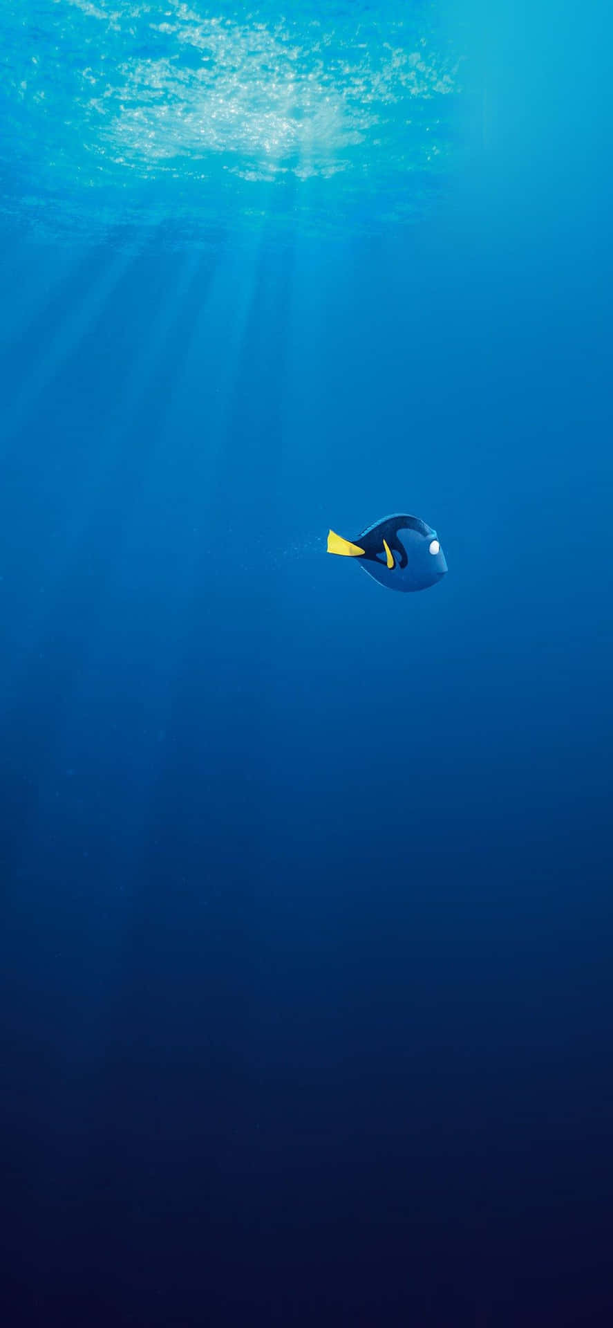 Iphone X Disney Background Finding Dory