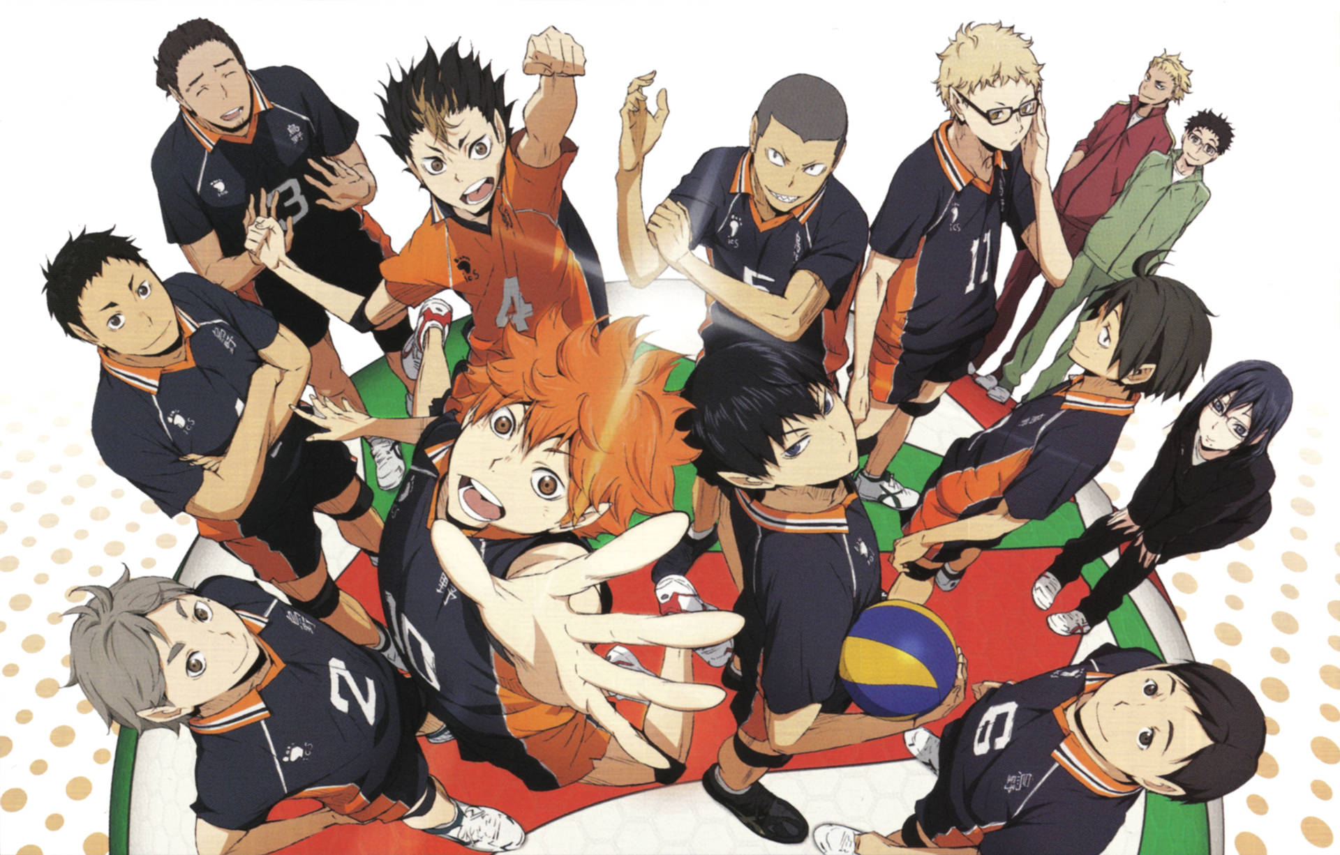 Karasuno High School Haikyuu-lag Wallpaper