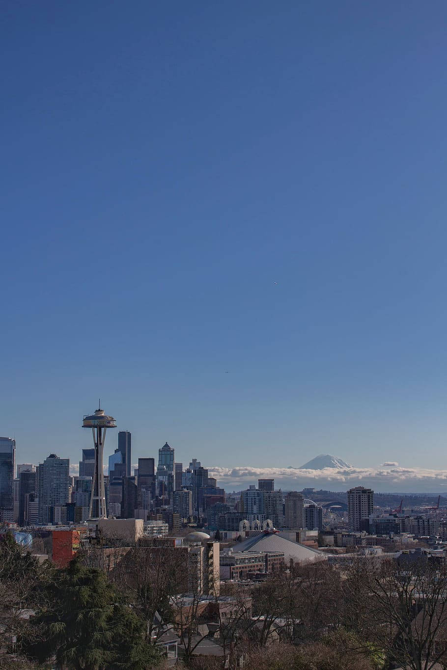 Kerry Park Seattle iPhone Wallpaper