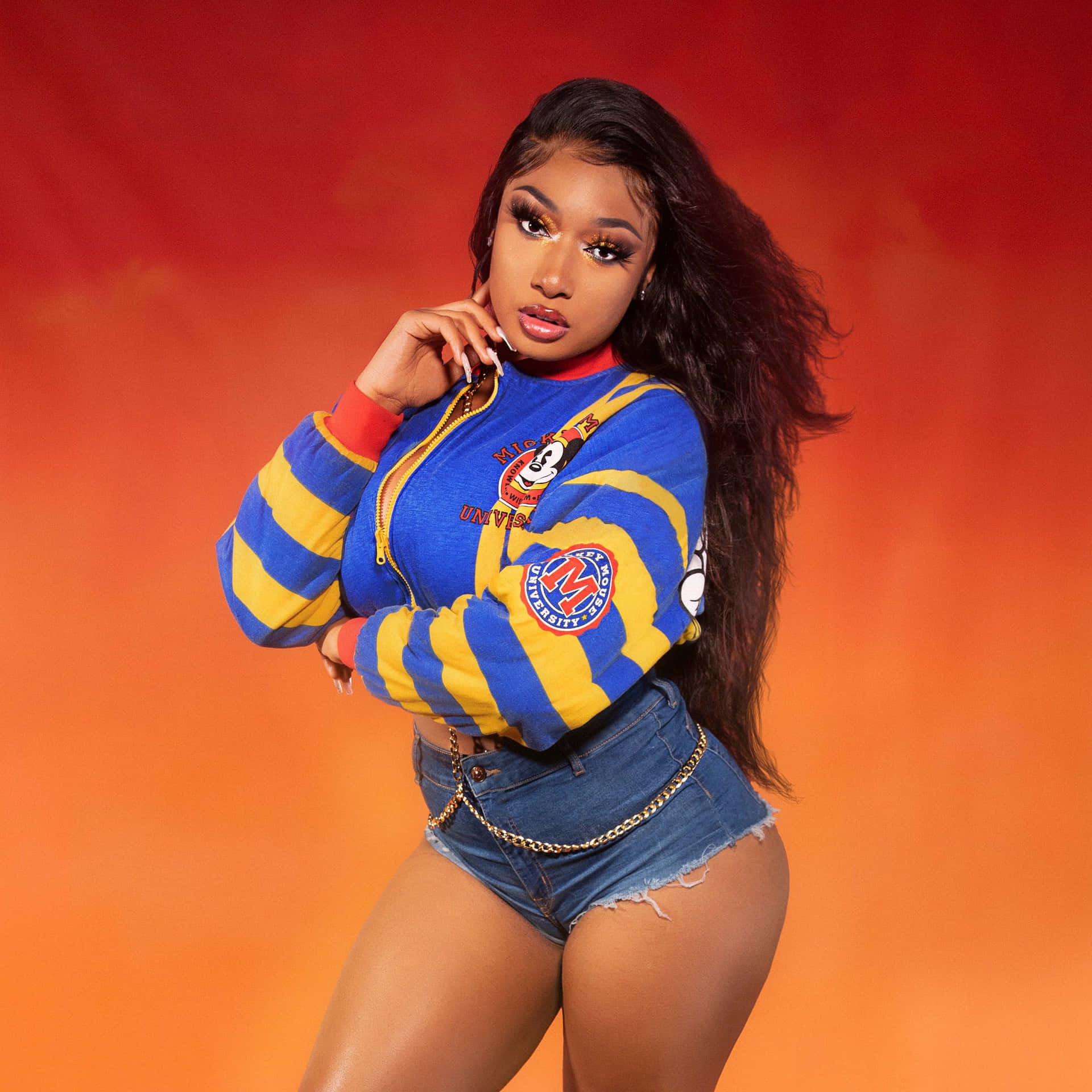 Bildpå Megan Thee Stallion 3000 X 3000