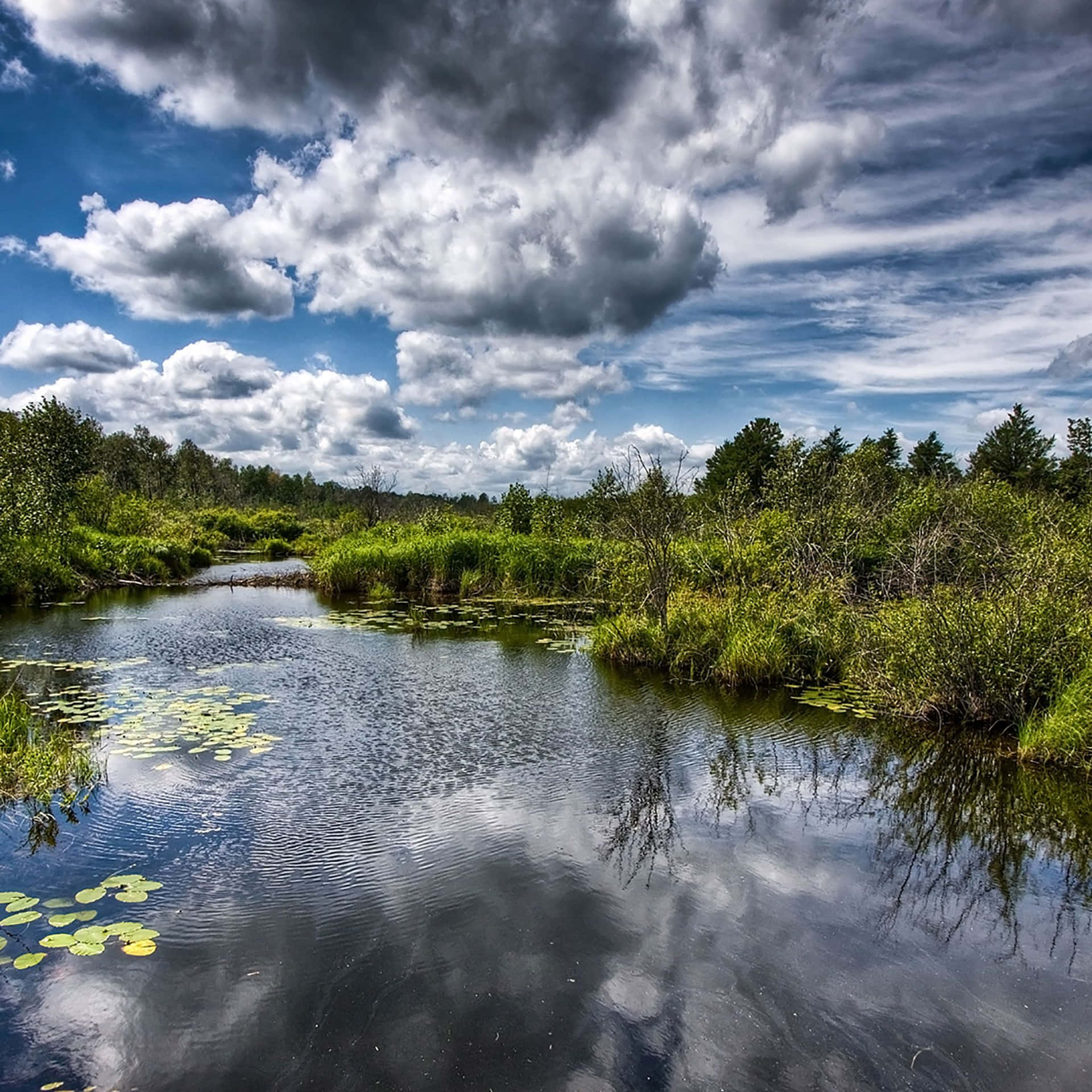 "Discover Nature's Wonders with an iPad" Wallpaper