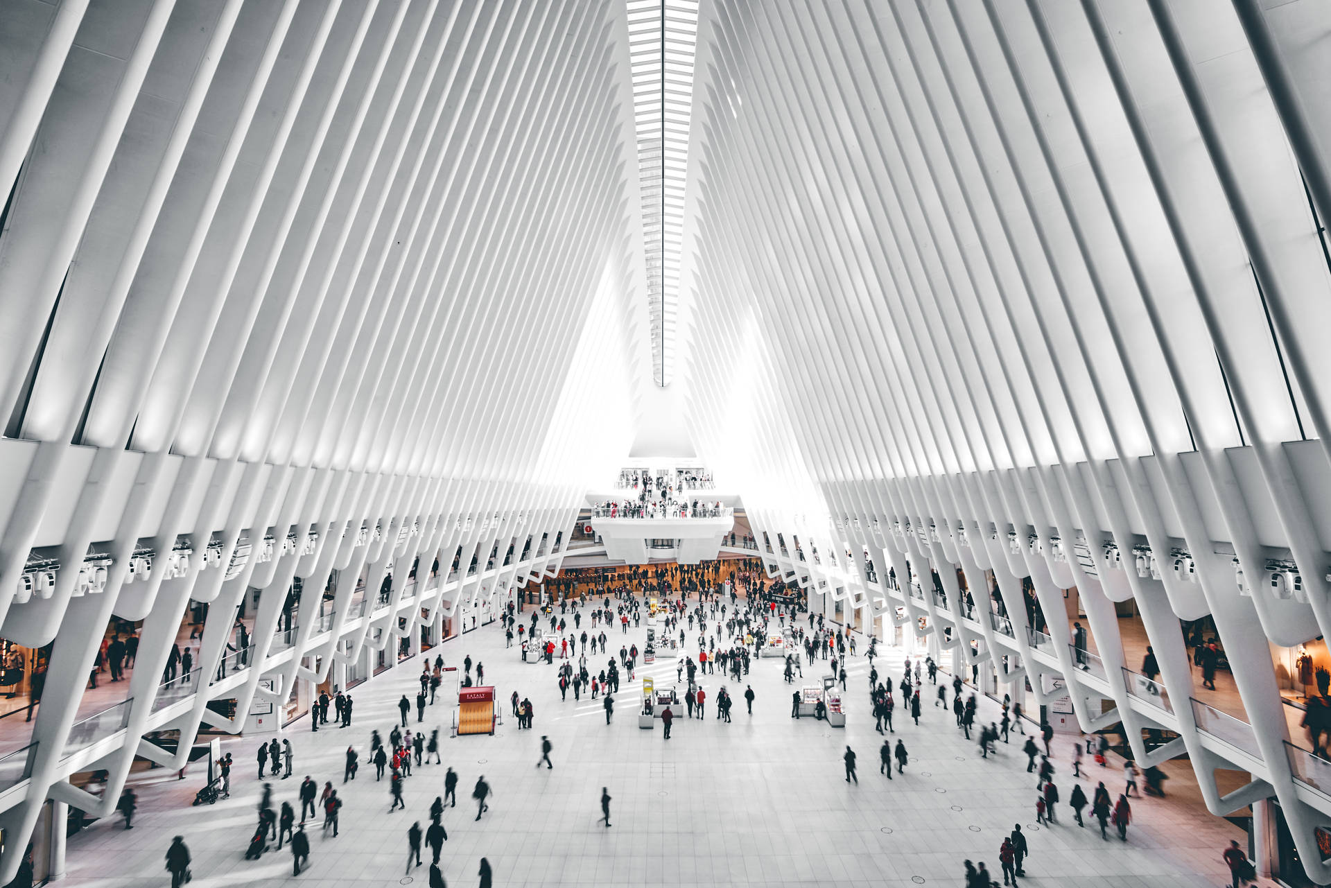 The Oculus Interior: The Oculus Interiör Wallpaper