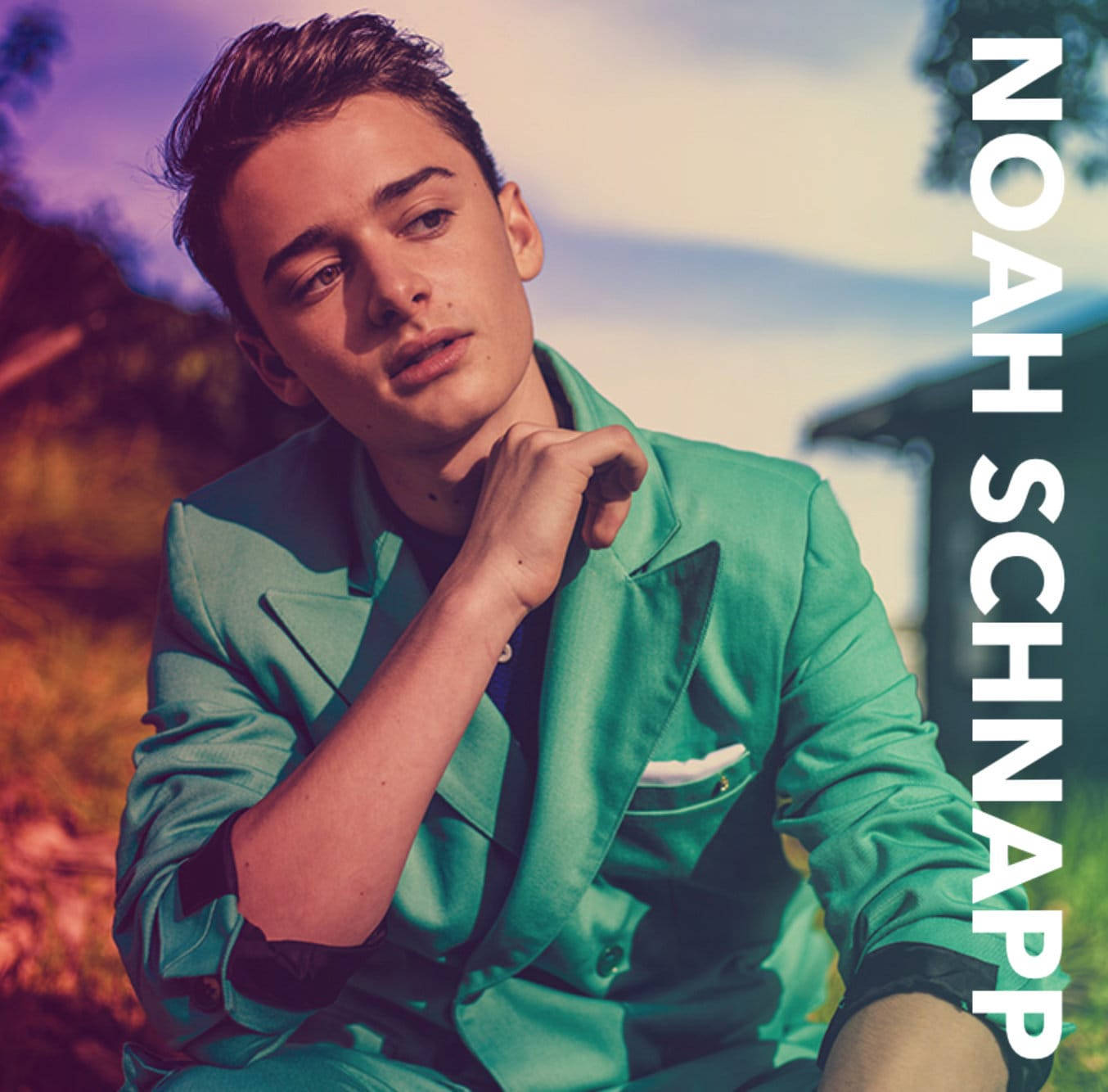 Posterde Noah Schnapp. Papel de Parede