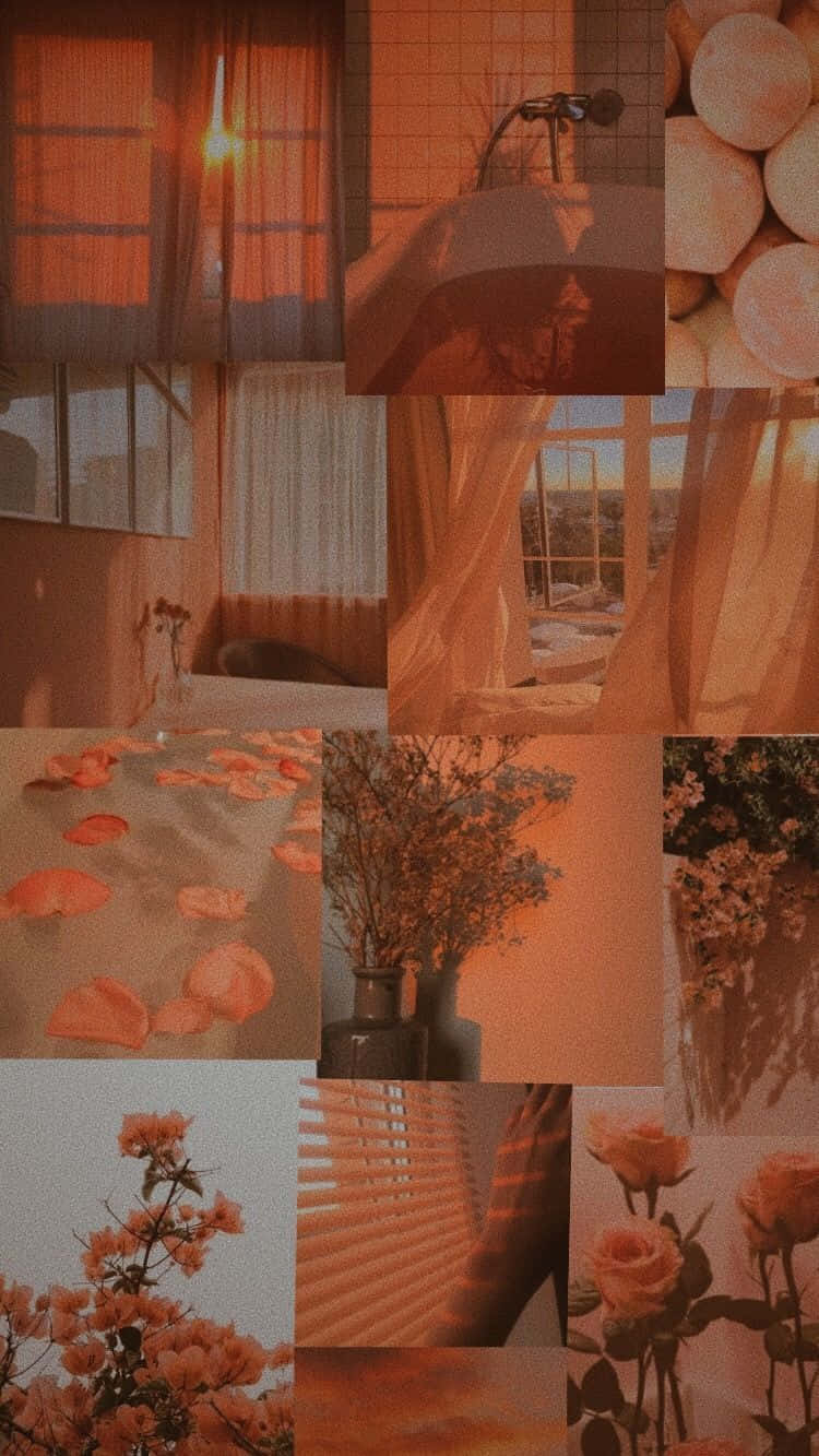 Pastel Peach Flowers And Windows Collage Aesthetic Wallpaper