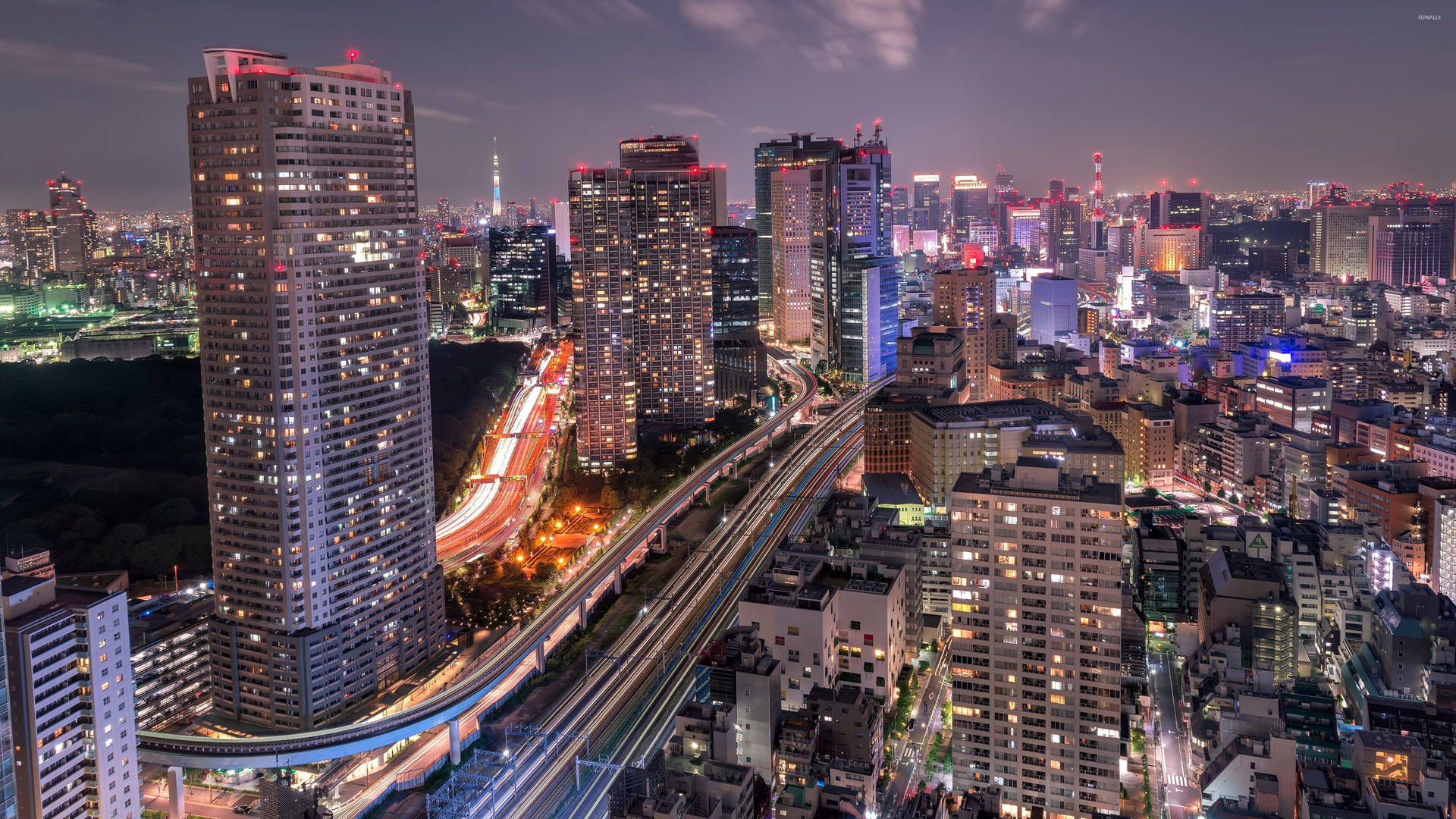 City Lights Illuminate Tokyo's Seaside Observatory at Night Wallpaper