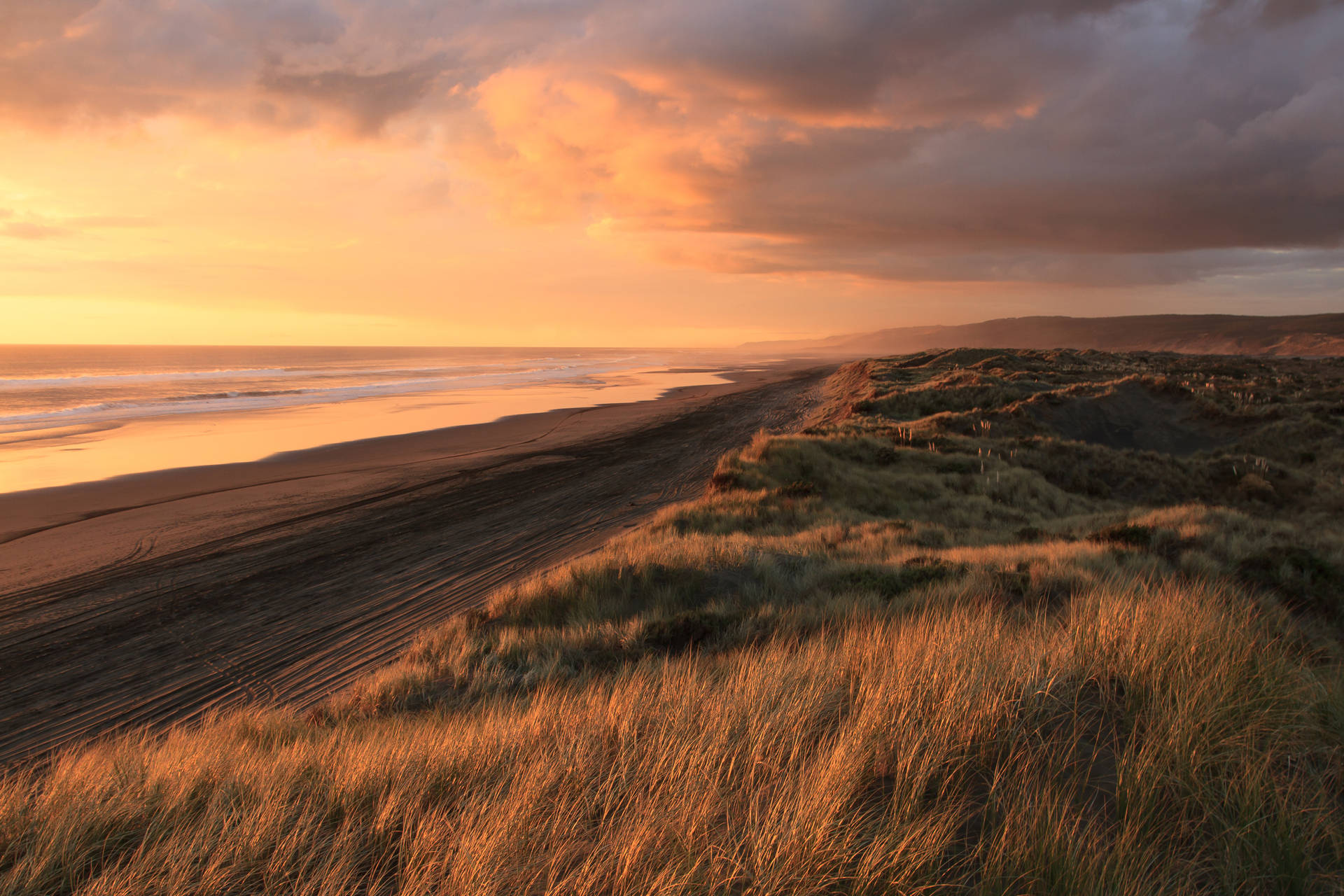 Solnedgångpå Stranden, Nya Zeeland. Wallpaper