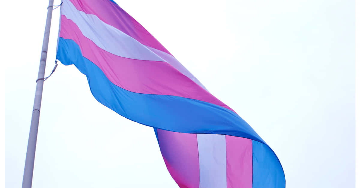 Einetransgender-flagge, Die Im Himmel Fliegt. Wallpaper