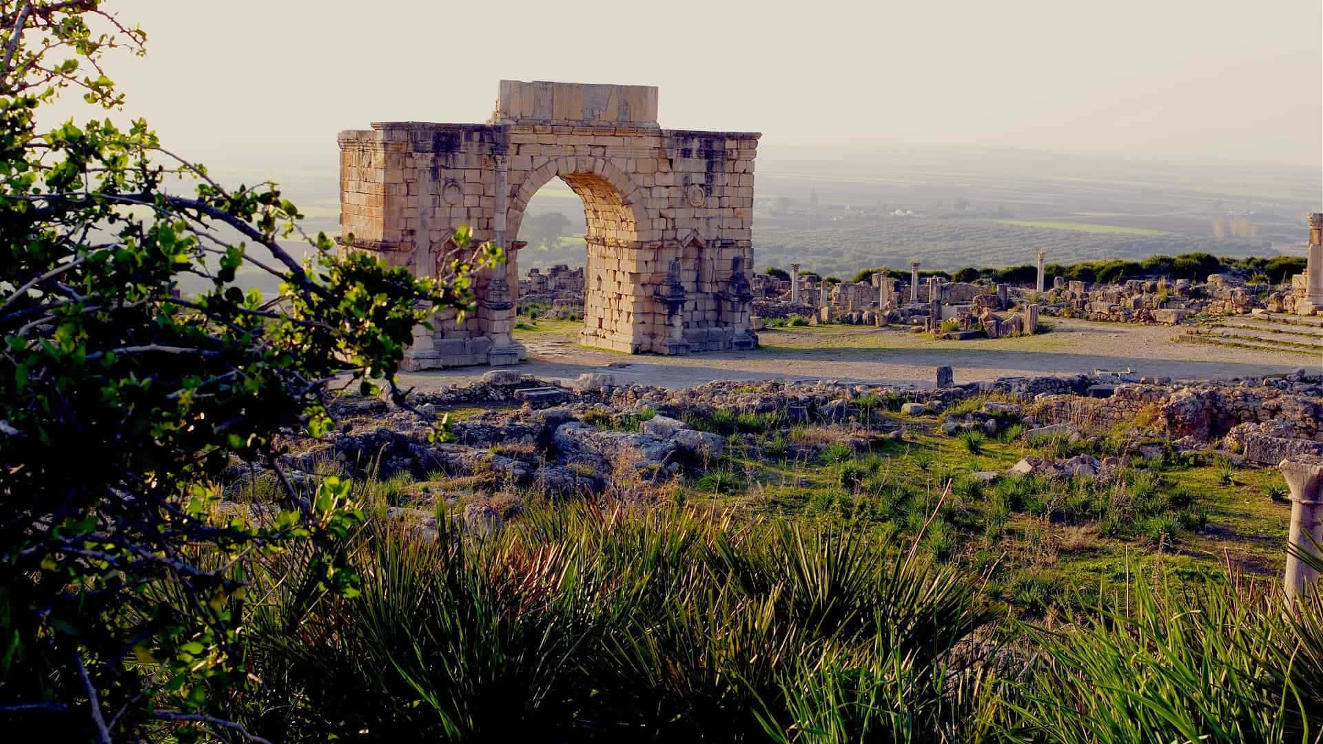 Volubilis Large Single Arch Wallpaper