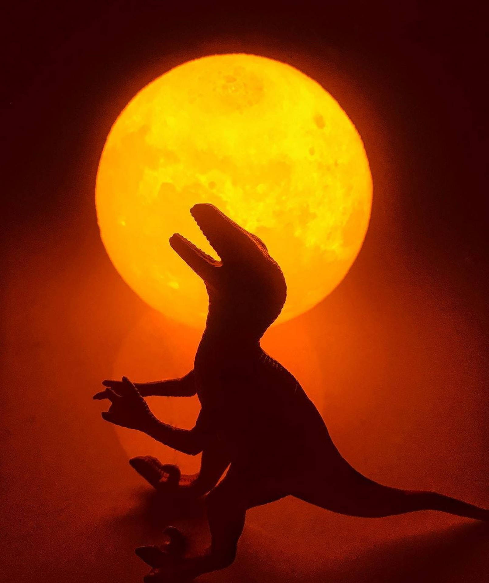 WhatsApp DP Sun Dinosaur Wallpaper