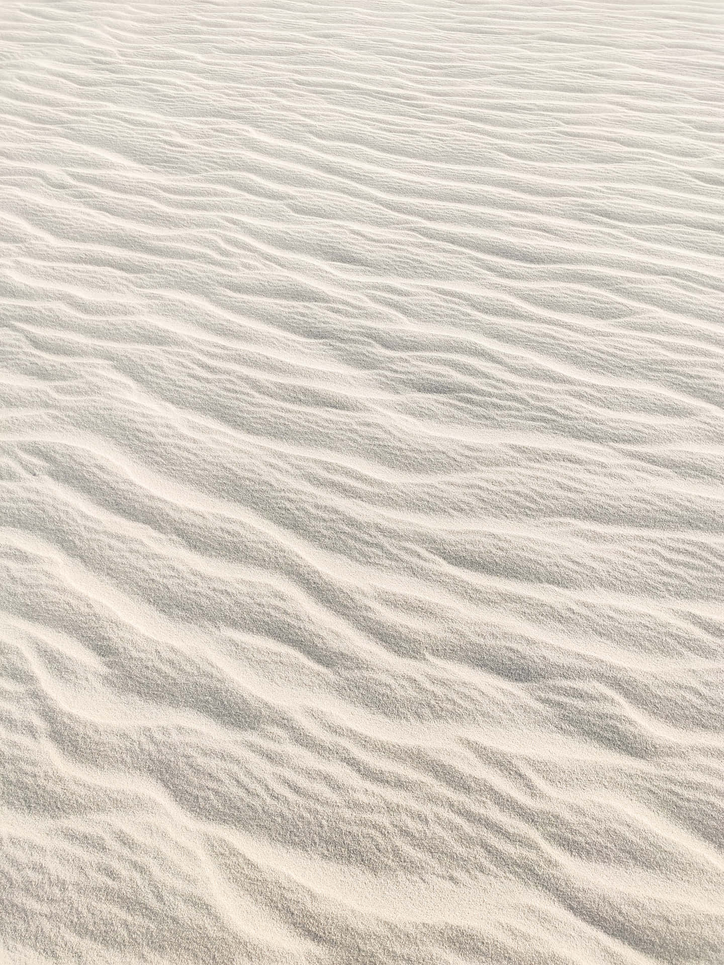 Desiertode Dunas De Arena Blanca. Fondo de pantalla