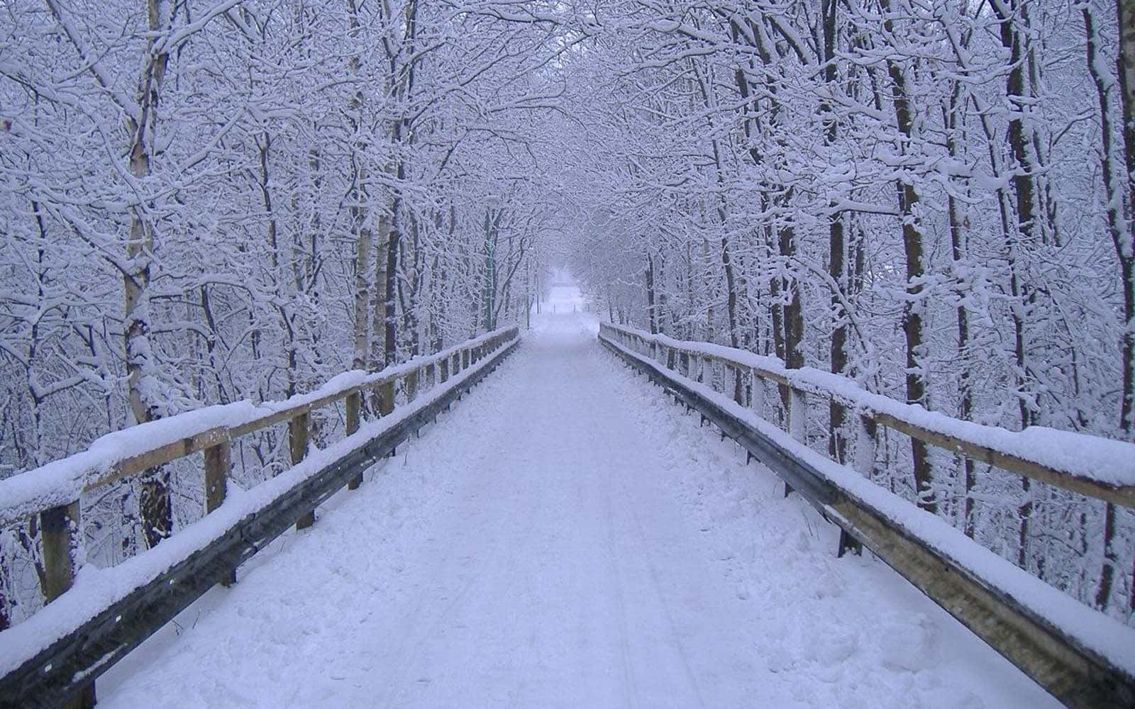 Snowy Bridge Of Winter Wonderland Background