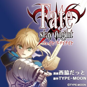 Fate/stay night