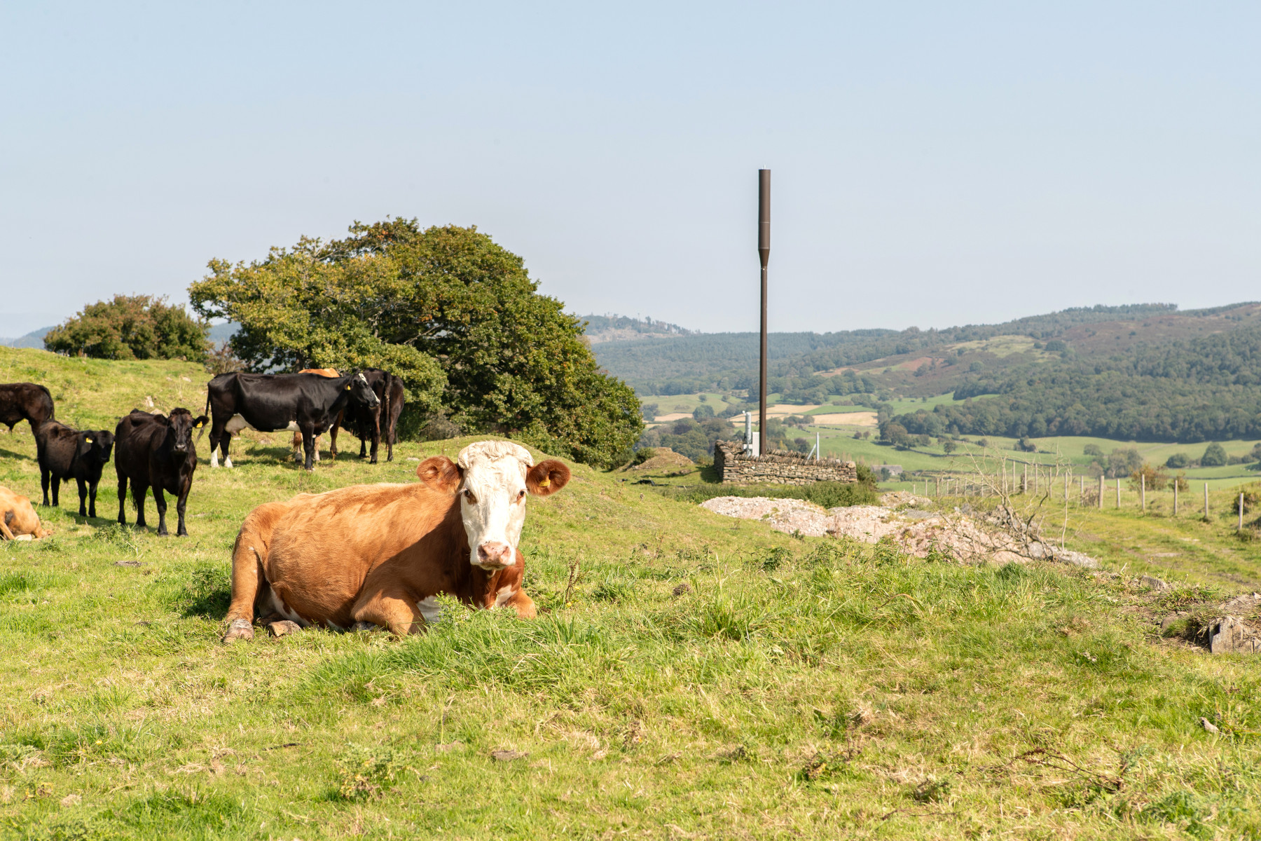 EE Delivers 4G Mobile Coverage Boost to The Lake District