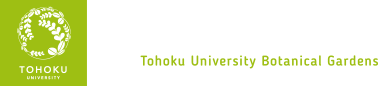 東北大学植物園