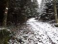 Forestry compartment boundary; this one is typical, with a compartment ref sign, and a cutline along the boundary with painted dashes on the trees of both compartments.