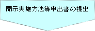 ⑥開示実施方法等提出書の提出