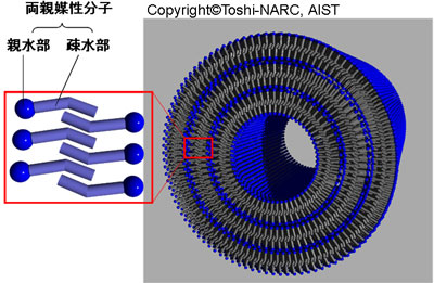 有機ナノチューブの模式図