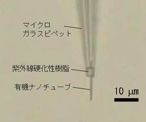 作製したONTナノピペットの光学顕微鏡写真