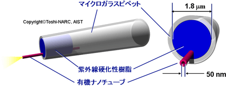 作製したONTナノピペットの構成イメージ図