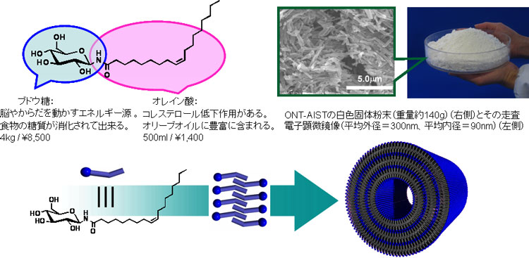 両親媒性分子の自己集合により大量合成可能なONT-AISTの図