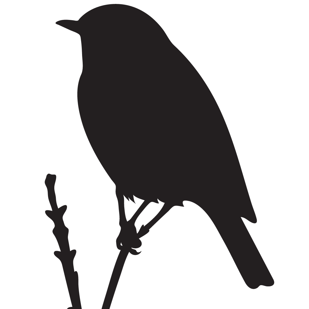 Thrushes Silhouette