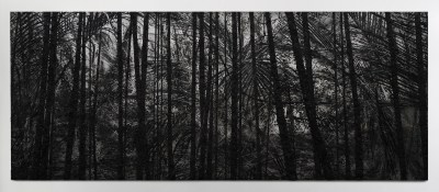 A vertical view of a forest with dark tropical trees in the foreground against a metallic, shiny background.