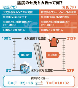 写真・図版