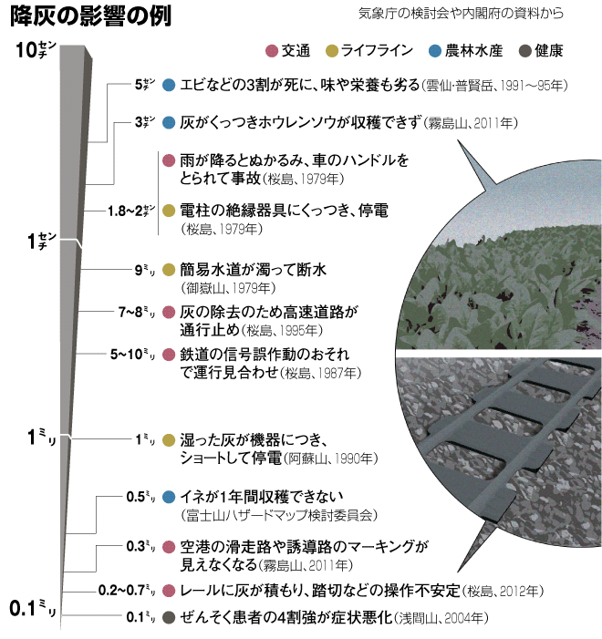 降灰の影響の例