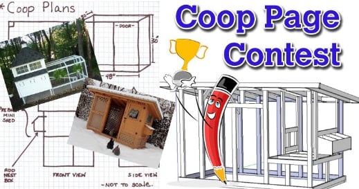 Official BYC Coop Page Contest