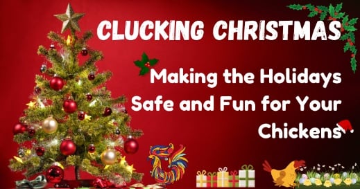 Making the Holidays Safe and Fun for Your Chickens